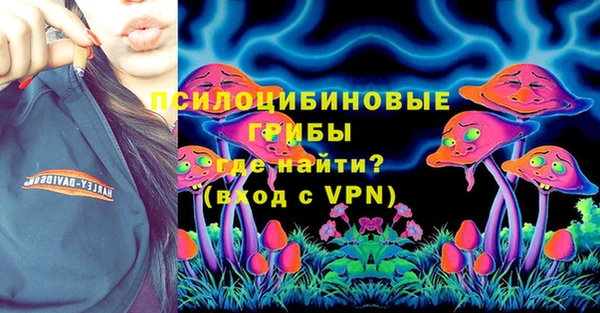 ПСИЛОЦИБИНОВЫЕ ГРИБЫ Пролетарск