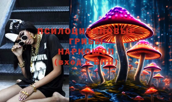 ПСИЛОЦИБИНОВЫЕ ГРИБЫ Пролетарск