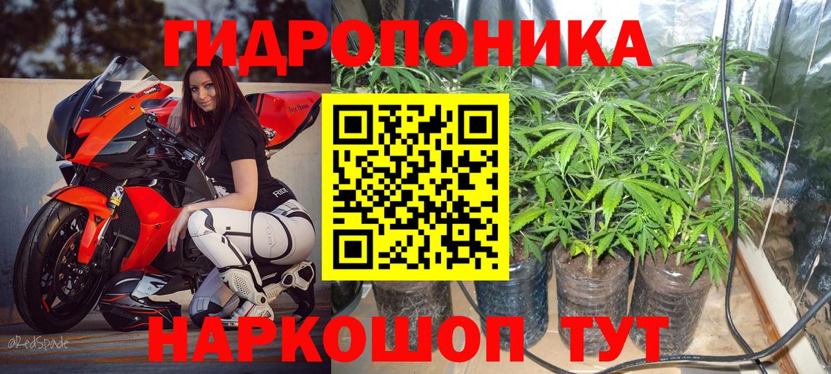 Бошки Шишки AK-47 Краснодар